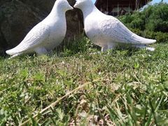 -龙口南山旅游景区