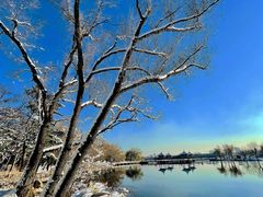 -长春市南湖公园