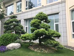 -南京东郊国宾馆