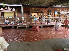 -长鹿旅游休博园
