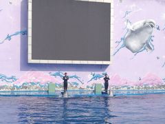 -北戴河圣蓝海洋公园