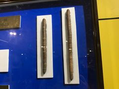 -上海昆虫博物馆