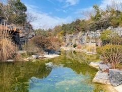 -上海吴淞炮台湾国家湿地公园