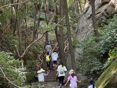 -大岭沟猕猴桃谷风景区