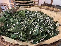 -苏州丝绸博物馆