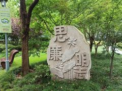 -陈家山荷花公园