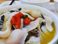 -七食九号食堂(东丽空港店)