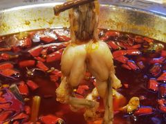 -蛙一刀·麻椒鱼火锅(金仙桥店)