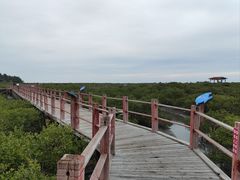 -北海金海湾红树林生态旅游区