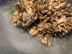 -煲宫猪肚鸡(晶品店)