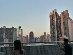 -香港大学