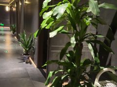 -天禧影院式足道·SPA(梅林店)
