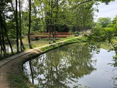 -桤木河湿地公园