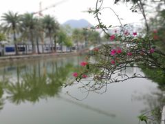-奈雪的茶(大梅沙8号仓店)