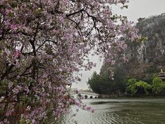 -星湖旅游景区七星岩