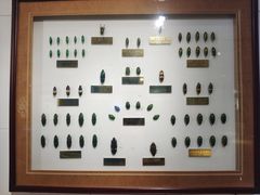 -上海昆虫博物馆