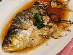 -宝燕壹号(长寿店)