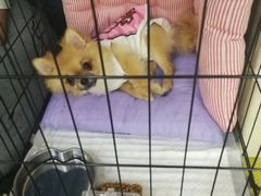 -K1拳击泰拳健身俱乐部