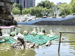 -团结湖公园