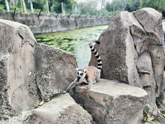 -常州淹城野生动物世界