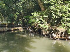 -兰亭风景区