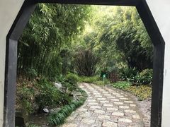 -汇龙潭