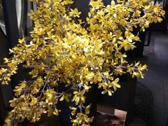 -呷哺呷哺(松江开元店)