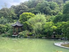 -云溪植物园