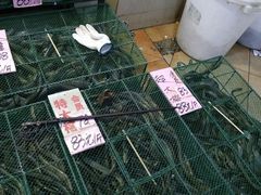 -荔城生鲜盛宴(番禺旗舰店)