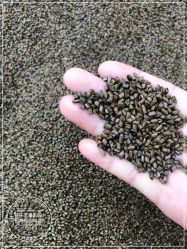 -孩子王童乐园(马群店)