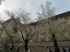 -武汉大学-樱园