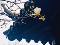 -拙政园