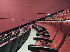 -悦江新远影城IMAX