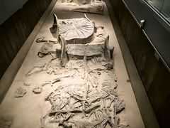 -北京大葆台遗址博物馆