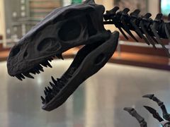 -自贡恐龙博物馆