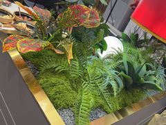-火啫啫·粤式啫啫煲(南京弘阳店)