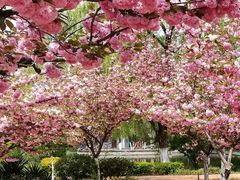 -宝鸡植物园