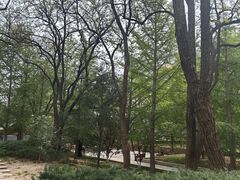 -元大都城垣遗址公园