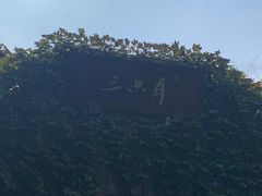 -三只耳火锅(宽窄巷子店)