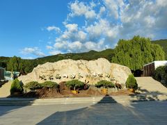 -北京西山国家森林公园