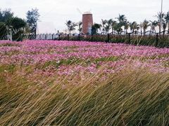 -玫瑰海岸文化旅游度假区
