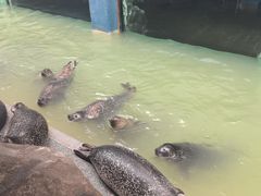 -蓬莱欧乐堡海洋极地世界