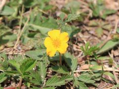 -敕勒川草原文化旅游区