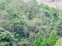 -雁荡山风景名胜区