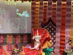 -西双版纳原始森林公园