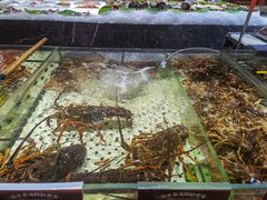 -品味居·首店·大连鲜活海鲜大连菜(东港店)