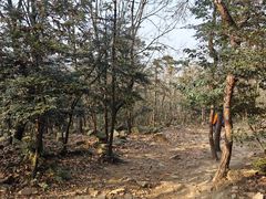 -虞山风景区