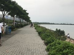 -宝安西湾红树林湿地公园
