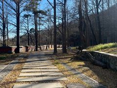 -阳台山自然风景区