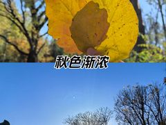 -朝阳公园游乐园